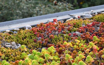 the cost of Westerfield green roof installation