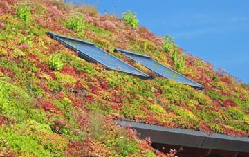 Westerfield living roof systems