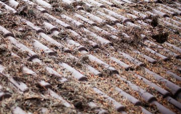 Westerfield roof cleaning companies