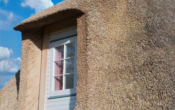 Westerfield thatch roof disadvantages