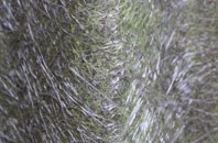 Westerfield fibreglass roof work